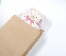 配送案(3)運送会社の袋に入れて出荷(こちらの袋は幅20cm、マチが8cmです)