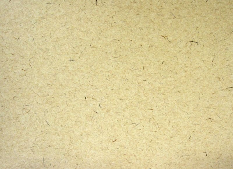 画像3: 【新型リニューアル】プレミアムナチュラル　Ｓ/Ｌ＠1組あたり336〜441円 (3)