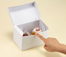 画像5: Ｃ－０１－ＦＮ業務用パック４ＦＮ/６ＦＮ/８ＦＮ/１０ＦＮ　 (5)