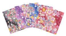 桜4種
