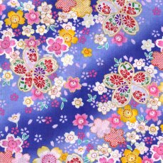 桜S-9青