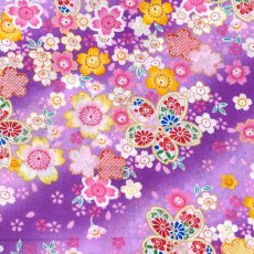 桜S-11紫
