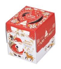 画像1: 【Xmasデコ】アドロッソ（Fキャリーデコ）H135　3号/4号＠1枚あたり148〜164.50 (1)