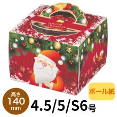 画像1: 【Xmasデコ】TDヒイラギ（140H）4.5号/5号/S6号＠1枚あたり102〜177 (1)