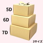 画像12: Ｃ－エコ－Ｄ/エコデコ（高さ115〜133トレーなし）/５Ｄ/６Ｄ/７Ｄ (12)