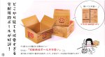 段ボールがかわいいと大好評