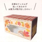 画像2: 【秋】ヘッジホッグBOX　25個入　／単価　200.50円 (2)