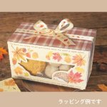 画像7: 【秋】ヘッジホッグBOX　25個入　／単価　200.50円 (7)