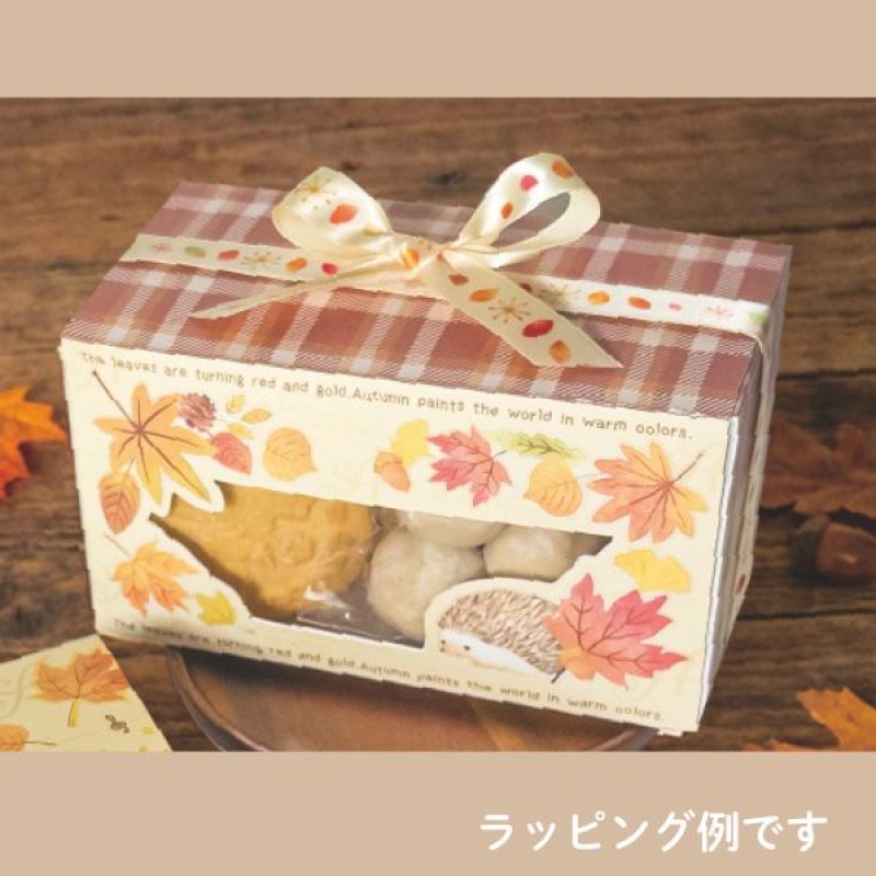 画像7: 【秋】ヘッジホッグBOX　25個入　／単価　200.50円 (7)