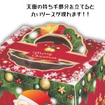 画像6: 【Xmasデコ】TDヒイラギ（140H）4.5号/5号/S6号　100枚入／　単価 112.50〜196.50円 (6)