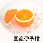 画像5: ※フルーツ・ア・ラ・モード　５個入　／単価　3,563円 (5)