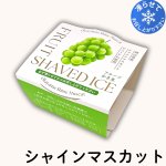 画像8: ※フルーツかき氷　単品／1ロット36個入　単価278円 (8)