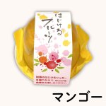 画像4: ※はじけるフルーツ　単品／36個入　単価　251円 (4)