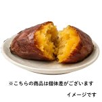 画像4: ※蜜焼き芋 甘芋みつ子　200g　1ロット：60個／単価 525円 (4)