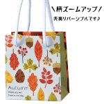 画像5: 【秋】フォリアージュ　50個入　／単価　117.50円 (5)