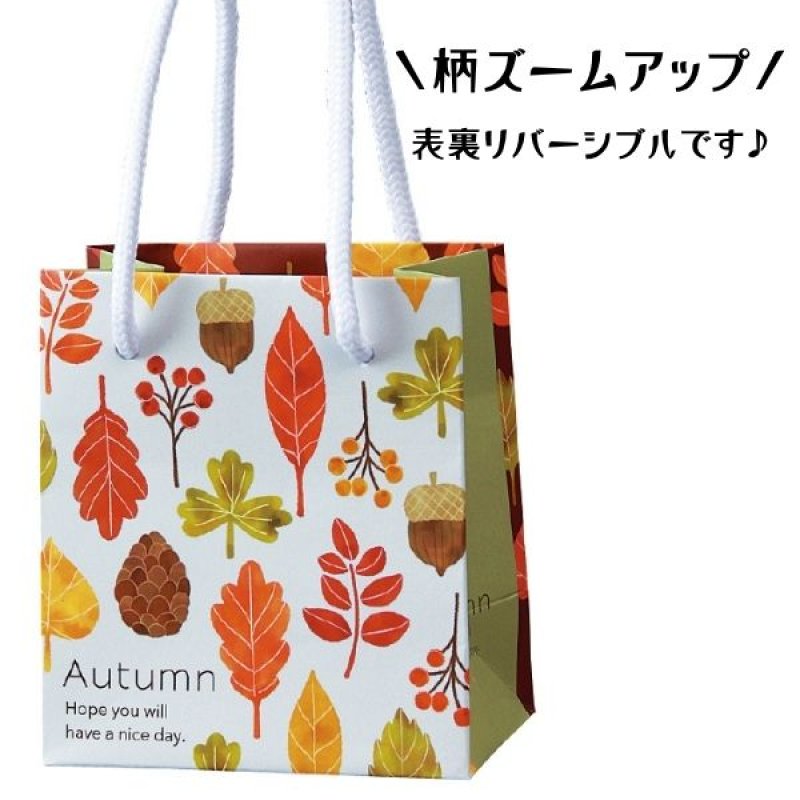 画像5: 【秋】フォリアージュ　50個入　／単価　117.50円 (5)