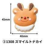 画像7: ※アイシングクッキー　1ロット：20〜48個入　／単価　207〜448円 (7)
