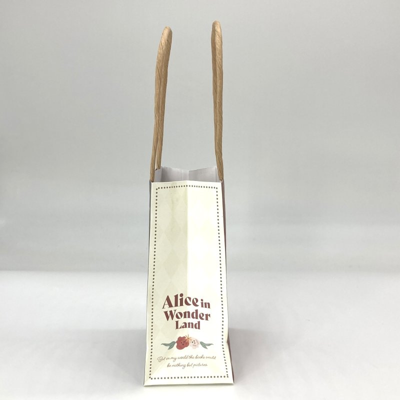 画像4: アベントゥ　ワンダーメアペーパーバッグ＆タグ(2種アソート)＠1枚あたり133.70円 (4)