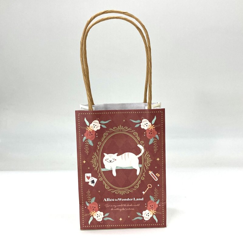 画像8: アベントゥ　ワンダーメアペーパーバッグ＆タグ(2種アソート)＠1枚あたり133.70円 (8)