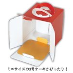 画像6: 【通年・Xmasデコ】キャリーデコ3号（１３０Ｈ）+トレー　200枚セット／セット単価　124.50円 (6)