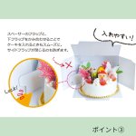 画像10: 【通年・Xmasデコ】H120　TSD　白無地　L3寸デコ箱（１２０Ｈ）+トレー　200枚セット／セット単価　108円 (10)