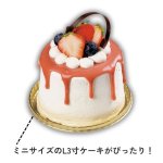 画像4: GPMデコトレー　３号　　200枚入　/単価　71円 (4)
