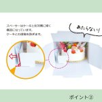 画像9: 【通年・Xmasデコ】H120　TSD　白無地　L3寸デコ箱（１２０Ｈ）+トレー　200枚セット／セット単価　108円 (9)