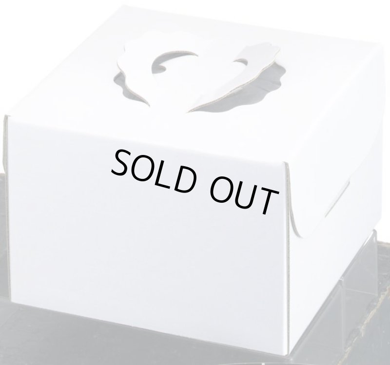 画像2: ⚫︎完売終了致しました⚫︎Ｃ－０２－Ｅ４.５ＤＨ（高さ140プレスコート白無地トレーなし）Ｅ４.５ＤＨ (2)