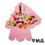 画像5: 【アウトレット】エッフェルＢＯＸ＠１つ102.00円→60.00円 (5)