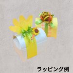 画像17: ジュエリーＢＯＸ（サファイア/シトリン）＠1つあたり66円 (17)