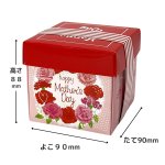 画像1: 【母の日】母の日ベルトＢＯＸ＠１つあたり166.32円 (1)