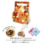 画像7: 秋うららメロディキャリー＠１つあたり91.48円 (7)