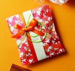 ひもや帯はついておりません