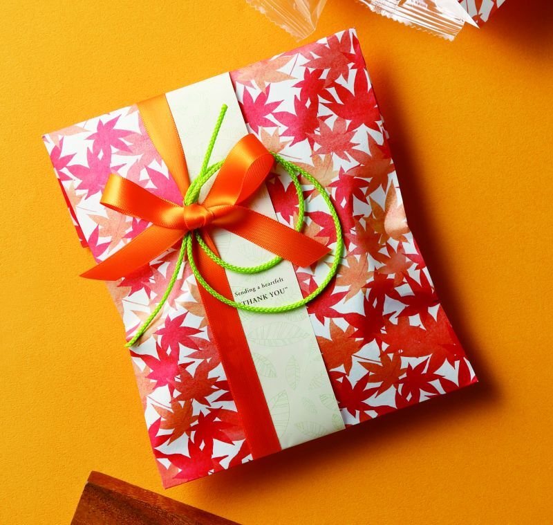 ひもや帯はついておりません