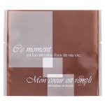 画像1: 個装　Ｚ－１３８　仏語柄フィナンシェ茶＠1枚あたり10.65円 (1)