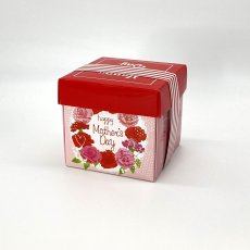画像17: 【お試しプチセット】【プチロットセット/ベルトＢＯＸ編】デザイン取り混ぜ可能：15枚単位で30枚入り　バースデーベルトBOX・母の日ベルトBOX・スイートベルトＢＯＸピンク・スイートベルトＢＯＸブラウン (17)