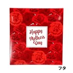 画像5: 母の日ギフト　レッド（仕切付）中サイズ＠1組あたり179.98円 (5)
