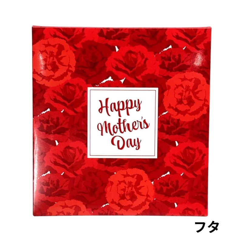 画像5: 母の日ギフト　レッド（仕切付）中サイズ＠1組あたり179.98円 (5)