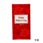 画像3: 母の日ギフト/レッド（仕切付）小サイズ＠1枚あたり149.69円 (3)