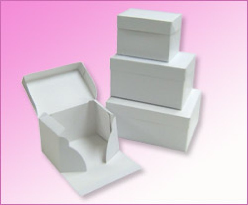 画像7: 《FN箱》Ｃ－０１－ＦＮ（白無地横入れ手さげなしかぶせフタＨ110）/４ＦＮ/６ＦＮ/８ＦＮ/１０ＦＮ/１１ＨＦ (7)