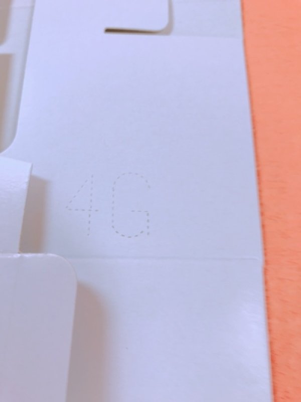 画像5: 《G箱》Ｃ－０１－Ｇ（白無地横入れ手さげなし）２Ｇ/４Ｇ (5)