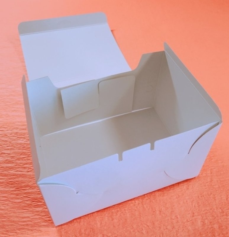 画像3: 《G箱》Ｃ－０１－Ｇ（白無地横入れ手さげなし）２Ｇ/４Ｇ (3)