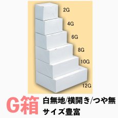 画像1: 《G箱》Ｃ－０１－Ｇ（白無地横入れ手さげなし）６Ｇ/８Ｇ/１０Ｇ/１２Ｇ (1)