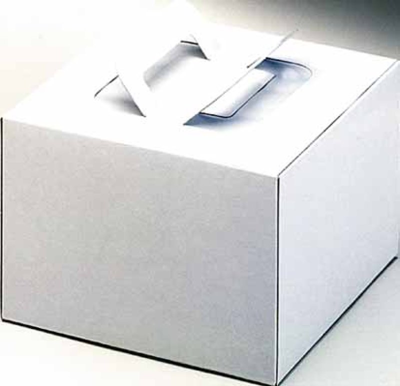 画像3: Ｃ－０２－Ｄ（プレスコート白無地）４Ｄ/４．５Ｄ/５Ｄ/６Ｄ/７Ｄ/８Ｄ (3)