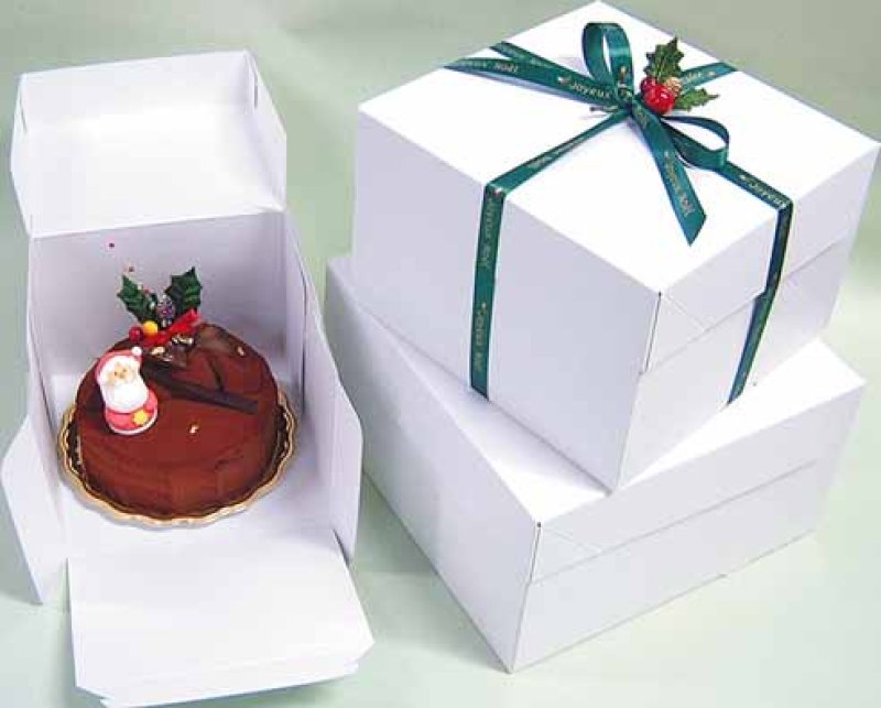 画像4: Ｃ－０２－ＤＦ（高さ125プレスコート白無地トレーなし）４．５ＤＦ(完売)・５ＤＦ・６ＤＦ (4)