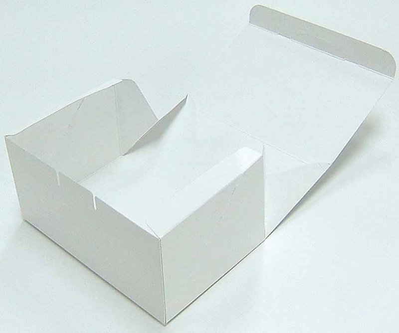 画像1: 《G箱》Ｃ－０１－Ｇ（白無地横入れ手さげなし）６Ｇ/８Ｇ/１０Ｇ/１２Ｇ／単価　28.00〜53.50円