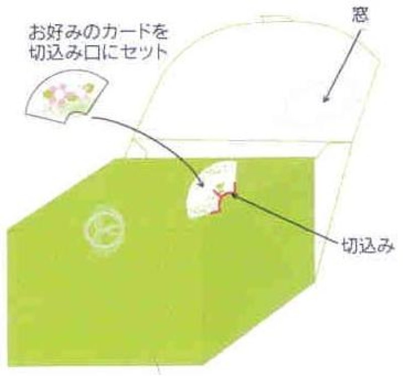 画像1: Ｗ－和ごころ　３００入(桃150/緑150)/単価44円