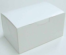 画像3: 《G箱》Ｃ－０１－Ｇ（白無地横入れ手さげなし）６Ｇ/８Ｇ/１０Ｇ/１２Ｇ (3)