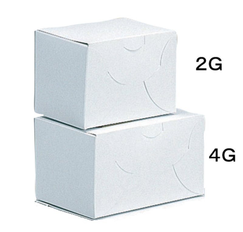 画像2: 《G箱》Ｃ－０１－Ｇ（白無地横入れ手さげなし）２Ｇ/４Ｇ (2)