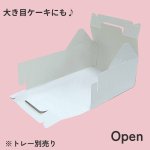 画像5: Y箱／【在庫限り】Ｃ－０２－Ｙ（白無地プレスコート横入れ）/２Ｙ/６Ｙ/１０Ｙ (5)